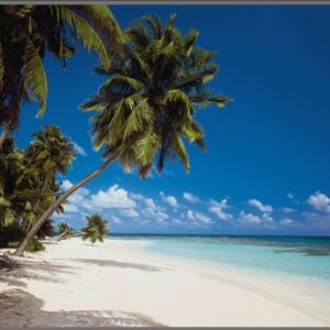 PAINÉIS FOTOGRÁFICOS 15