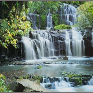 PAINÉIS FOTOGRÁFICOS 17