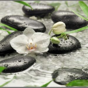 PAINÉIS FOTOGRÁFICOS 19