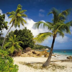 PAINÉIS FOTOGRÁFICOS 23