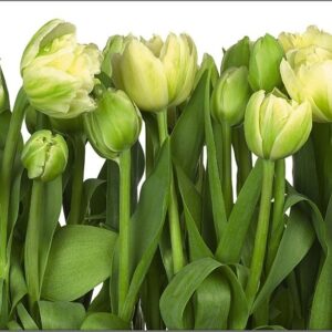 PAINÉIS FOTOGRÁFICOS 24