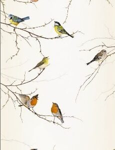 PAINÉIS FOTOGRÁFICOS 5