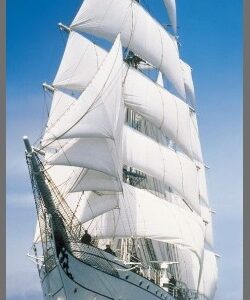 PAINÉIS FOTOGRÁFICOS 7